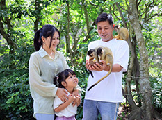 石垣やいま村